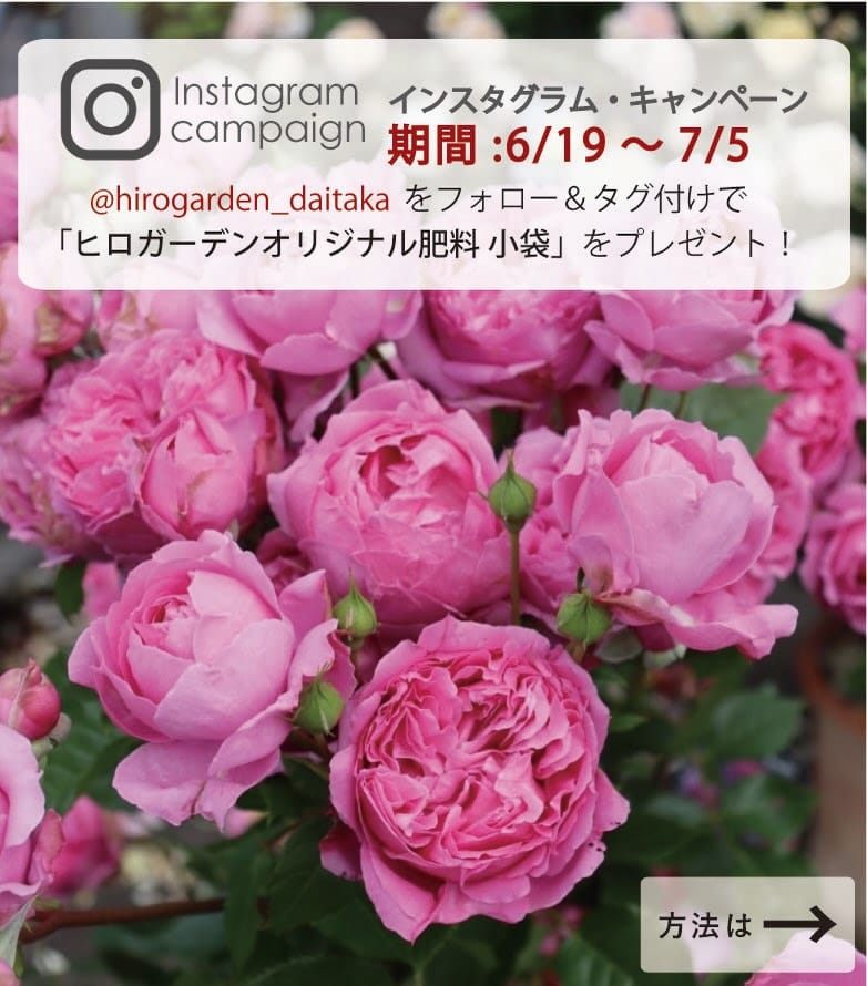Post 10 by 那須ヒロガーデン on Instagram (carousel)