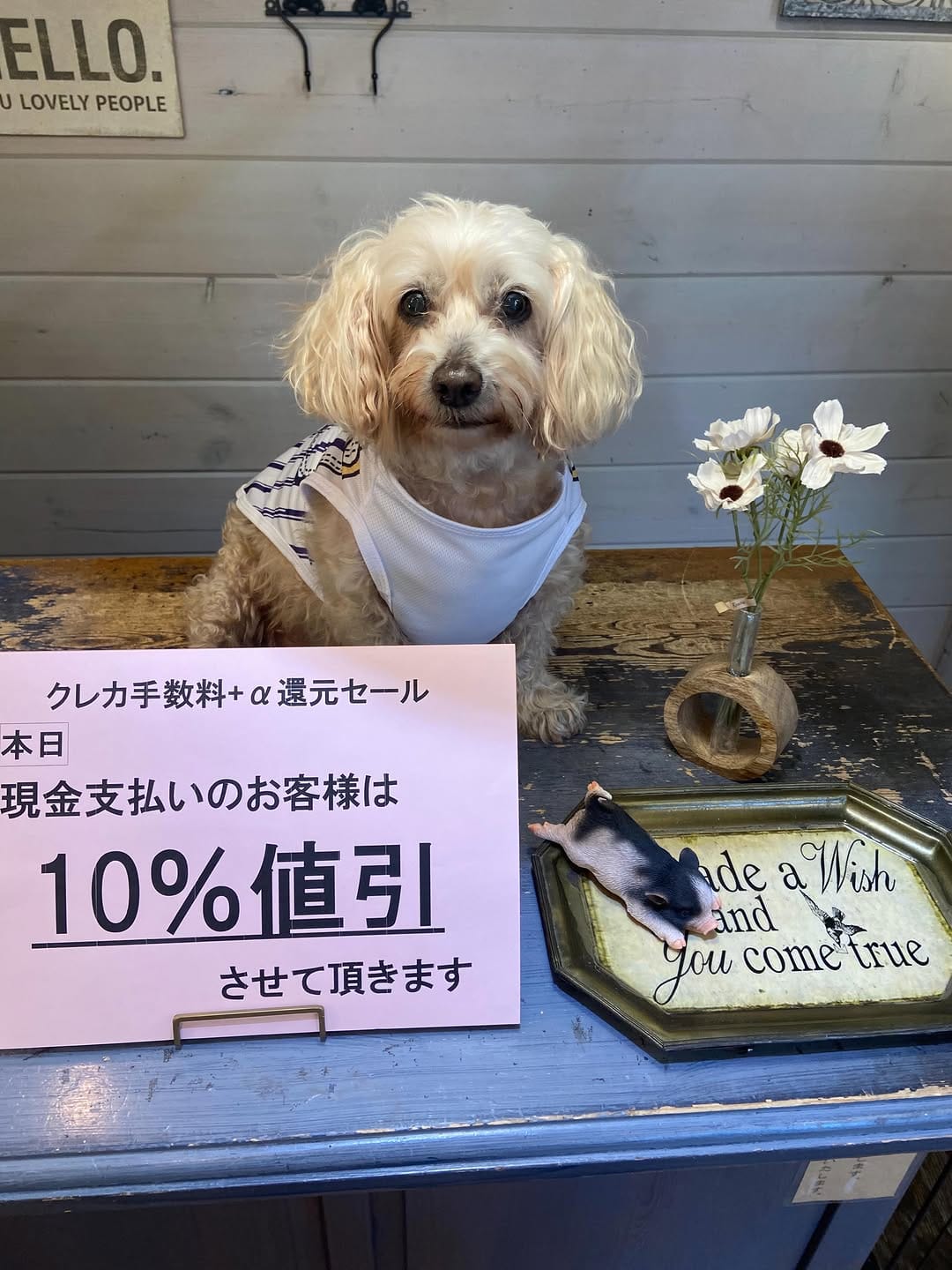 Post 4 by Tomonori Ito on Instagram (image)