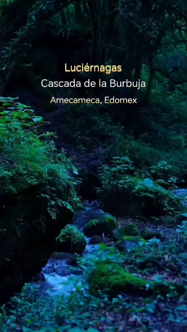 Post 1 by Carlos Borja Vázquez Fotógrafo on Instagram (video)