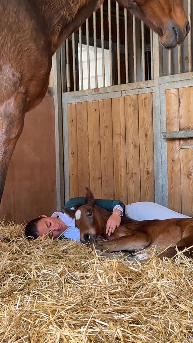 Post 8 by EVA BOUCHUT on Instagram (video)