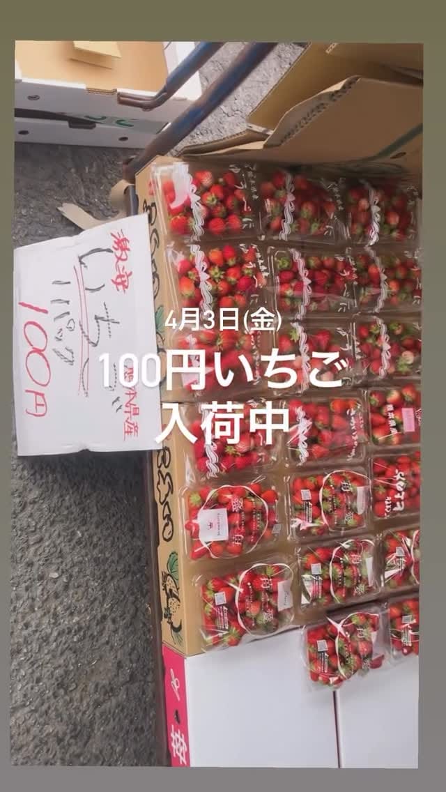 Post 8 by 熊本|やさいの無人販売所 on Instagram (video)