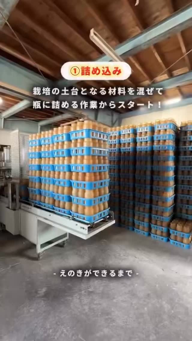Post 5 by 有）G・G・フレッシュパーク on Instagram (video)