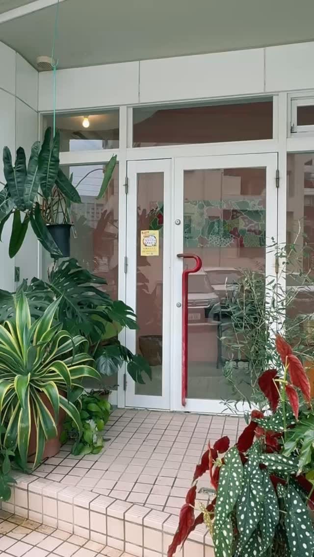Post 2 by MIMURI on Instagram (video)