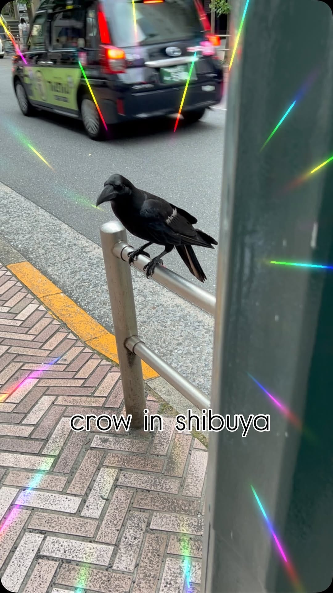 Post 4 by 肉の村越　すき焼き　むら越 on Instagram (video)