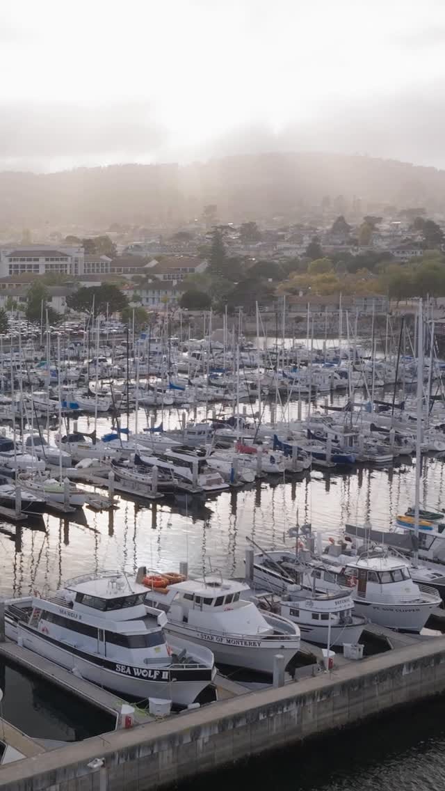 Post 7 by San Jose Photographer on Instagram (video)