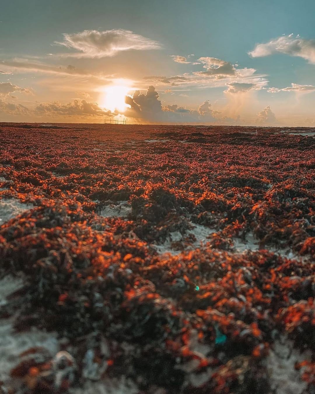 Post 9 by Ed Rebollo aka GiorRoig on Instagram (image)
