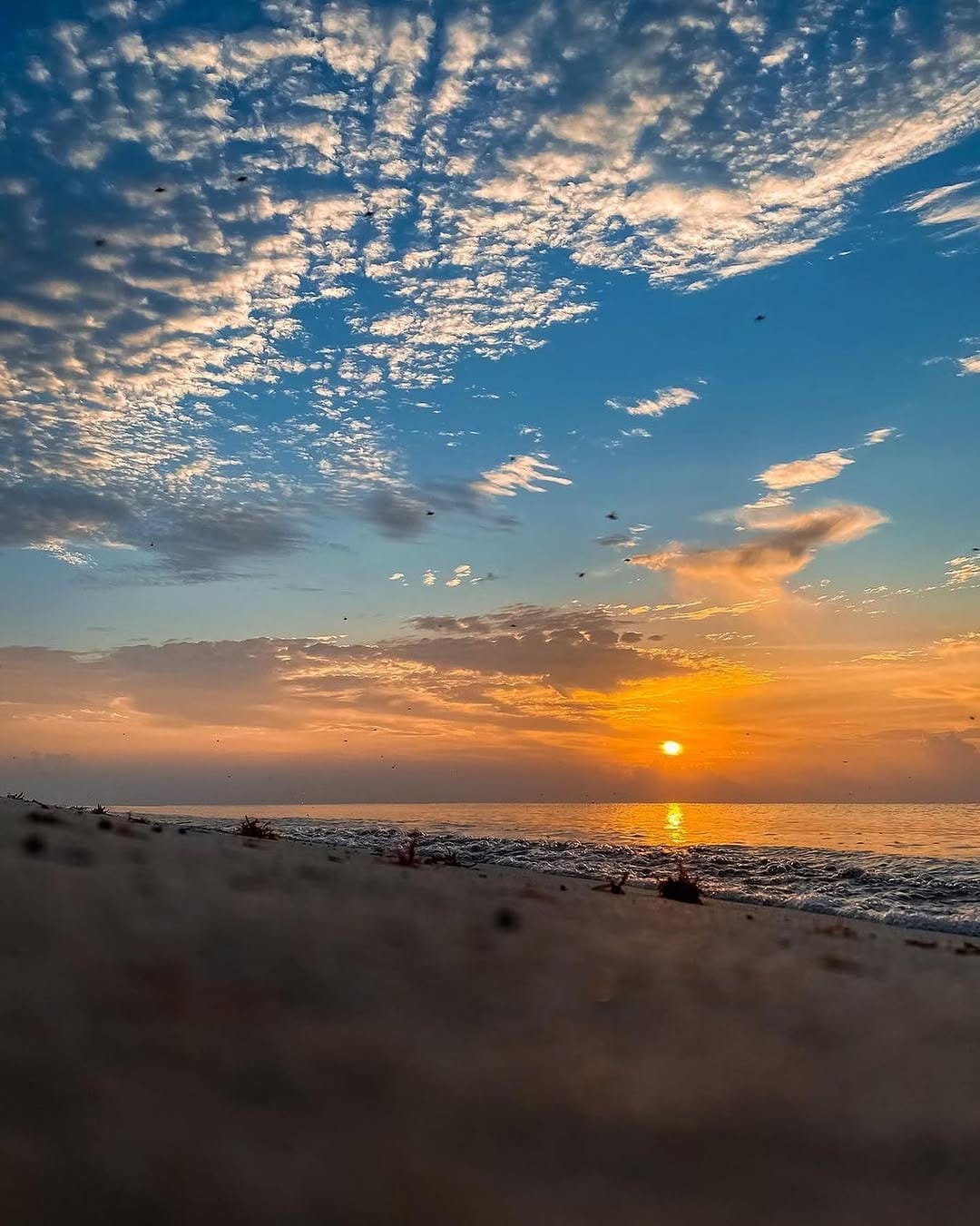 Post 10 by Ed Rebollo aka GiorRoig on Instagram (image)