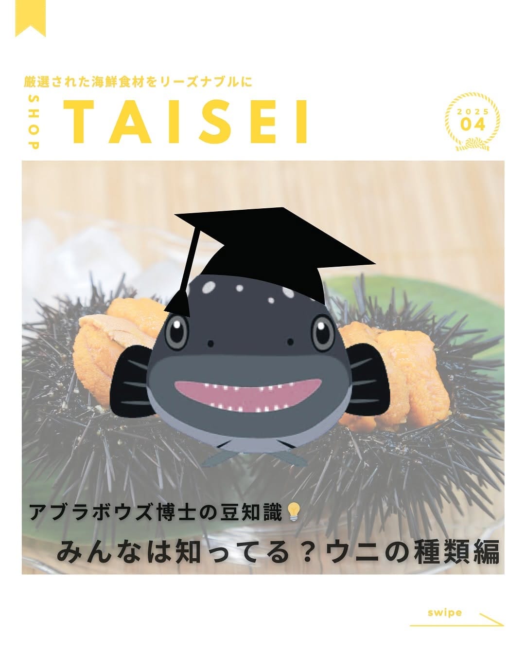 Post 10 by ショップ タイセイ on Instagram (carousel)