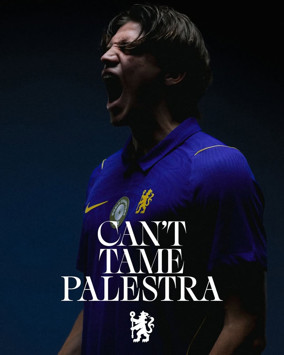 Post 2 by MARCO PALESTRA on Instagram (image)