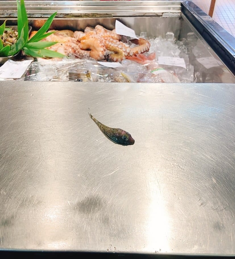 Post 9 by 岡崎 鮮魚店 on Instagram (image)