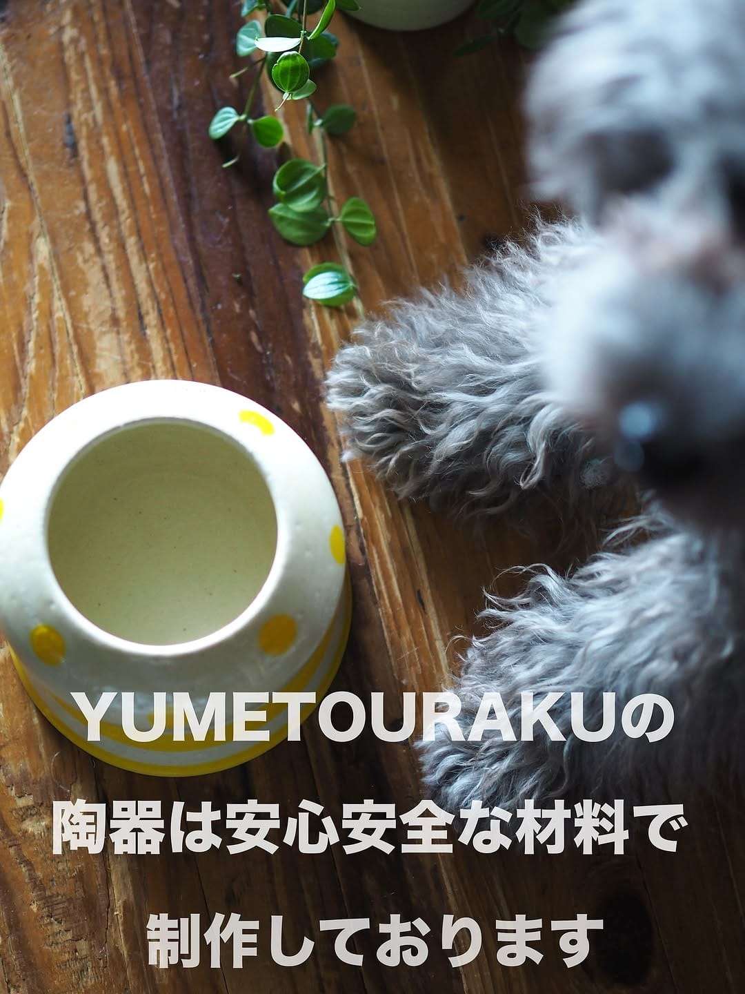 Post 8 by yoshie on Instagram (image)