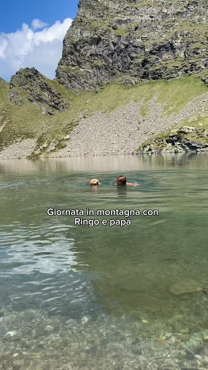 Post 6 by Pietro monti on Instagram (video)