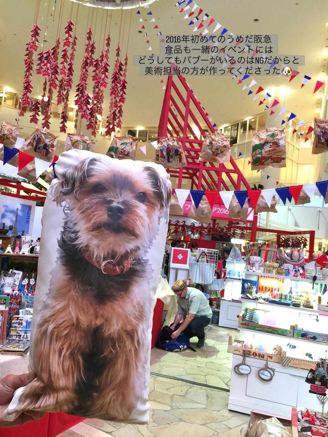 Post 6 by フランス雑貨 Boite ぼわっと on Instagram (carousel)