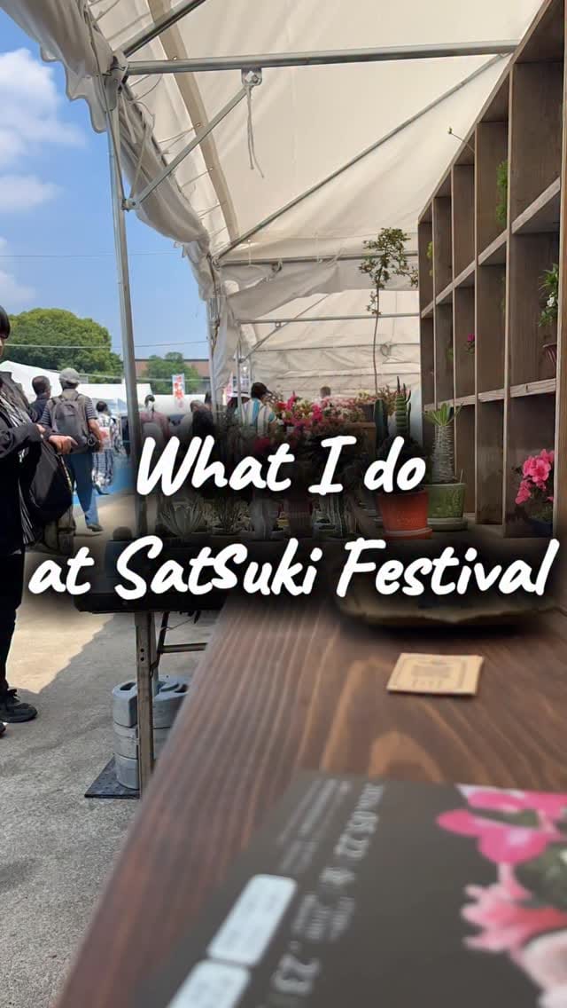 Post 9 by LadyBird succulents & cacti @鹿沼 on Instagram (video)