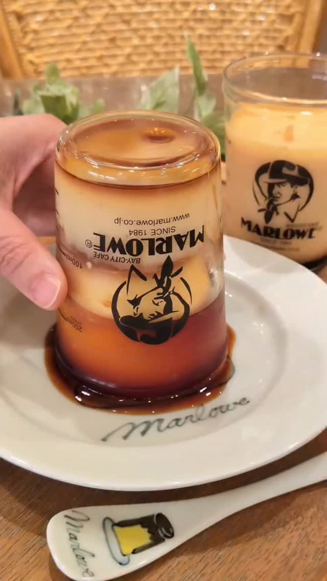 Post 8 by ビーカープリンのマーロウ【公式】 on Instagram (video)