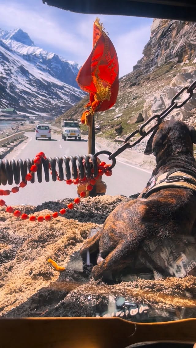 Post 9 by Vinyl Ambulance on Instagram (video)