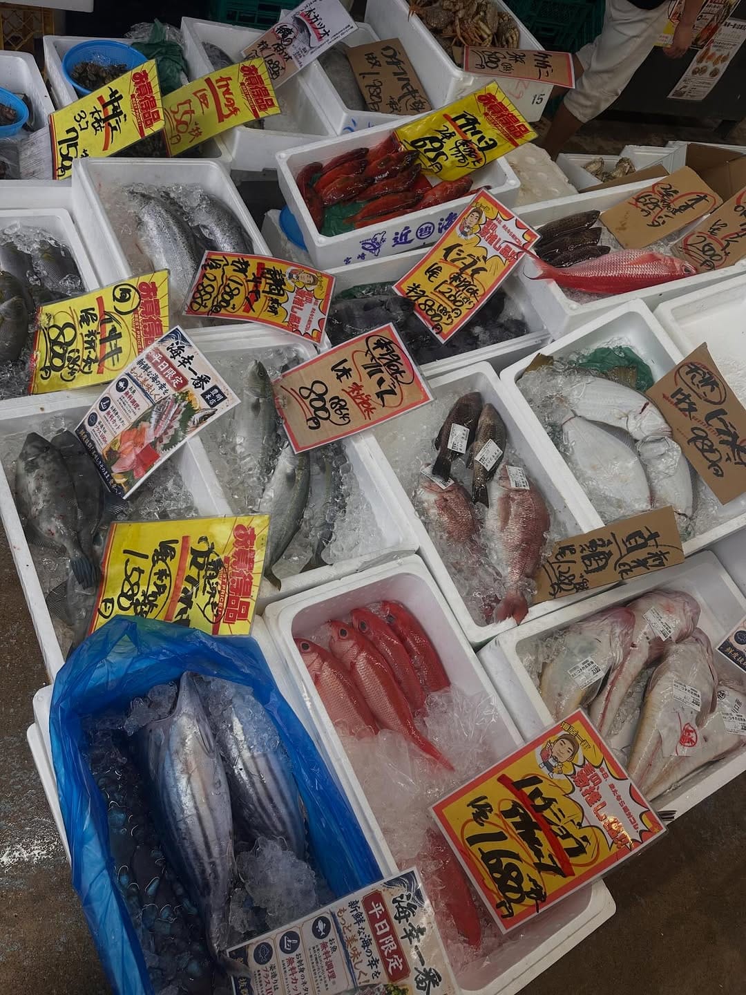 Post 4 by 魚市場 海幸一番 豊明本店【公式】 on Instagram (carousel)