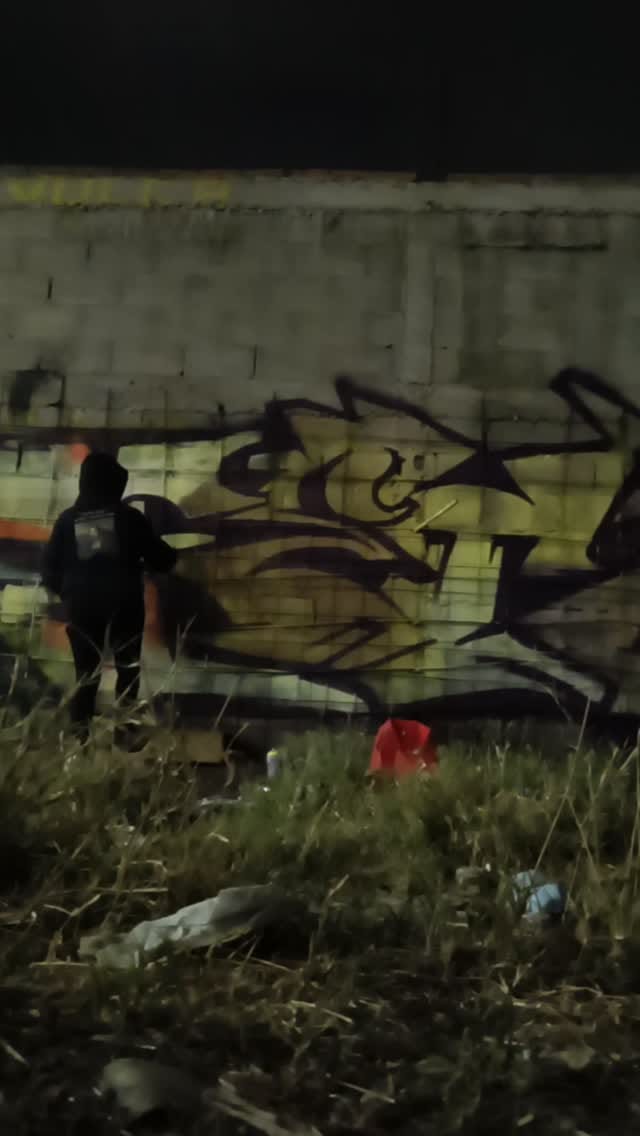 Post 8 by Feym | 🎨 Graffiti Artist |  🚂 Freights & Wildstyle on Instagram (video)