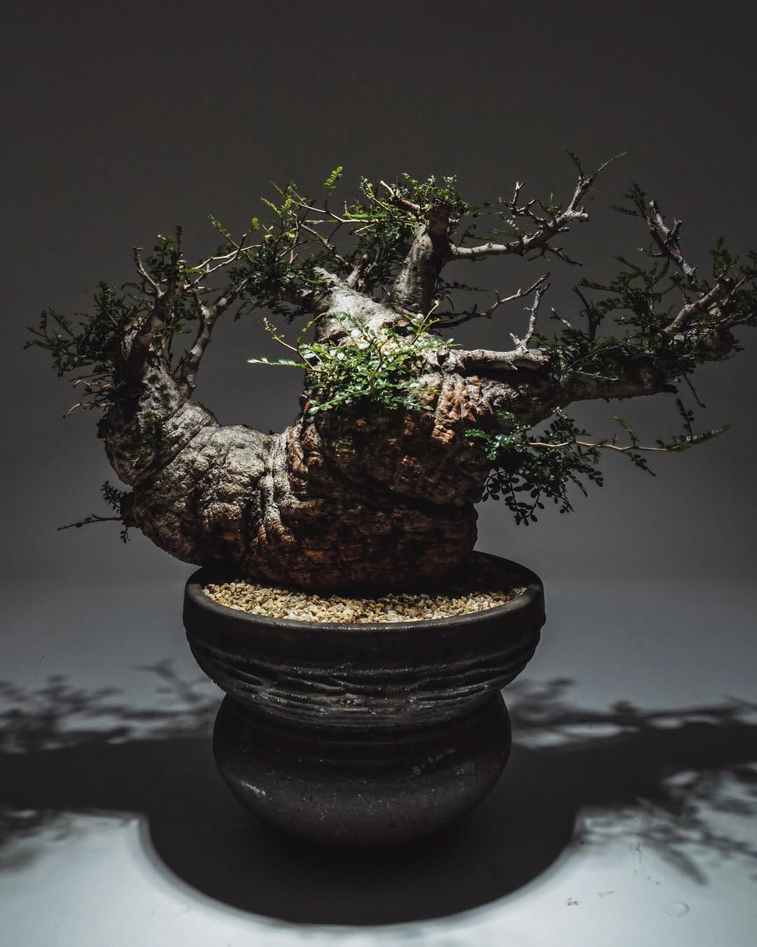 Post 8 by TAICHIRO KONDO on Instagram (image)