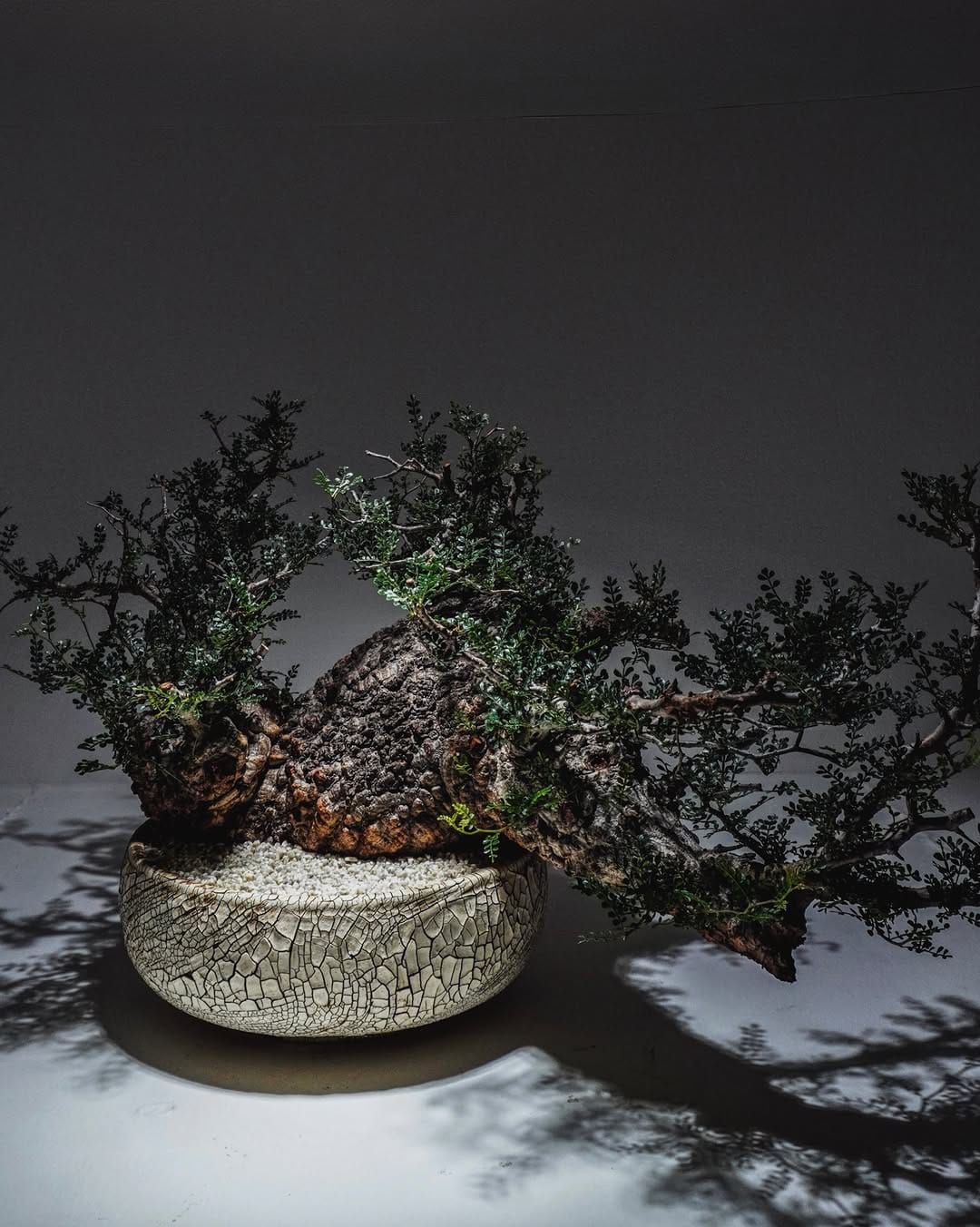 Post 6 by TAICHIRO KONDO on Instagram (image)