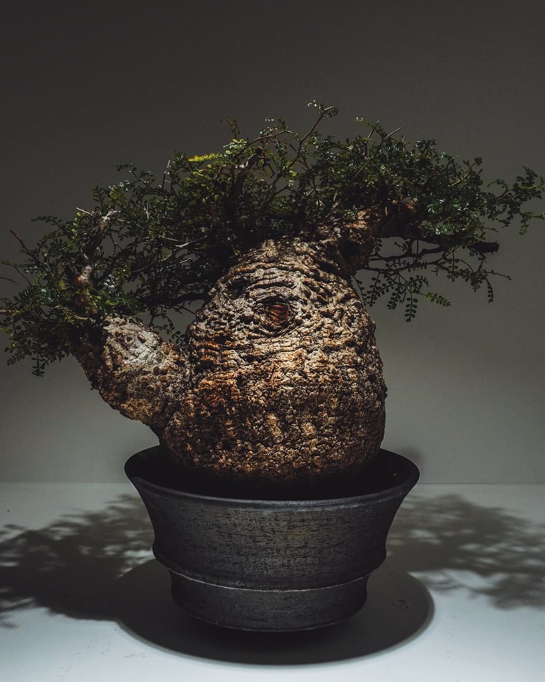 Post 2 by TAICHIRO KONDO on Instagram (image)