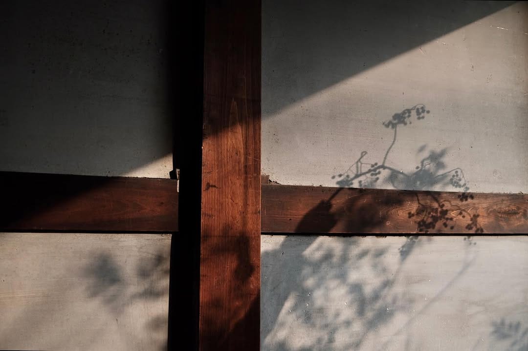 Post 7 by とれぽ珈琲 on Instagram (image)