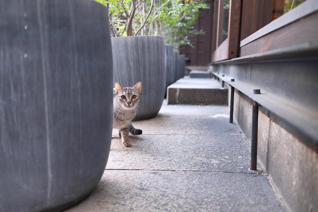 Post 3 by とれぽ珈琲 on Instagram (image)