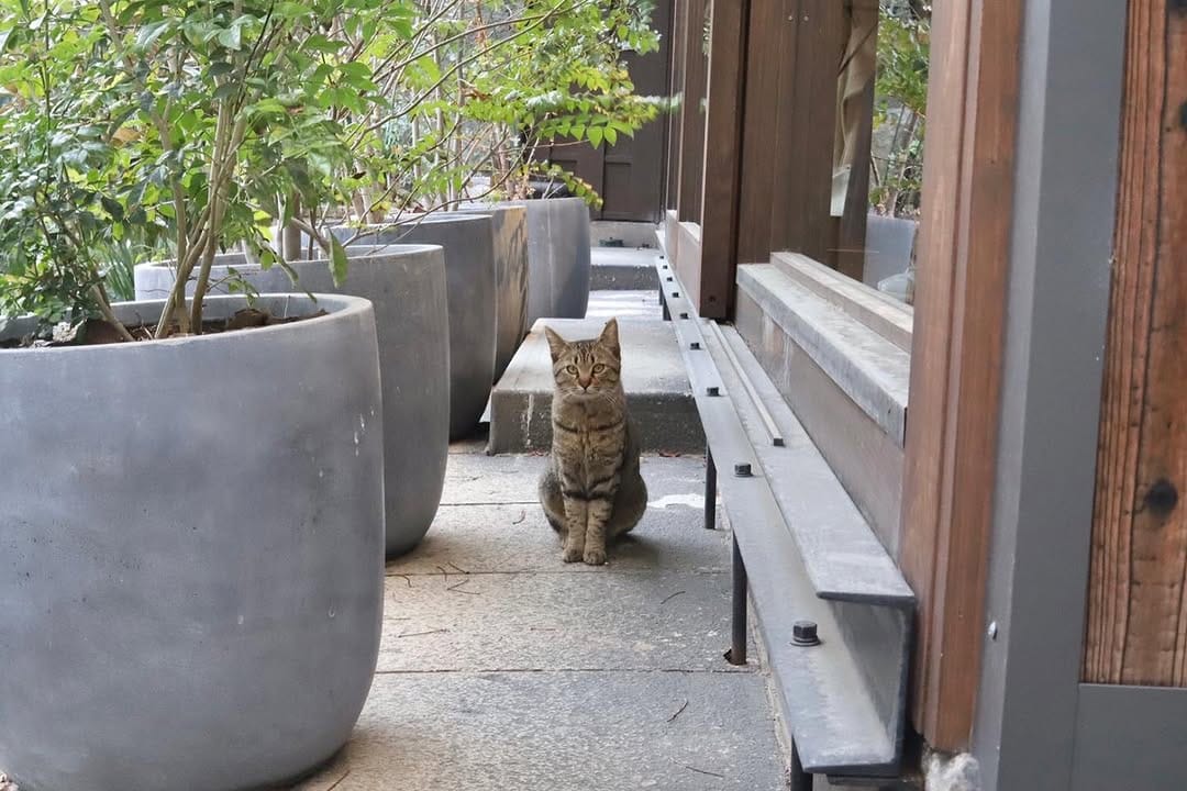 Post 6 by とれぽ珈琲 on Instagram (image)