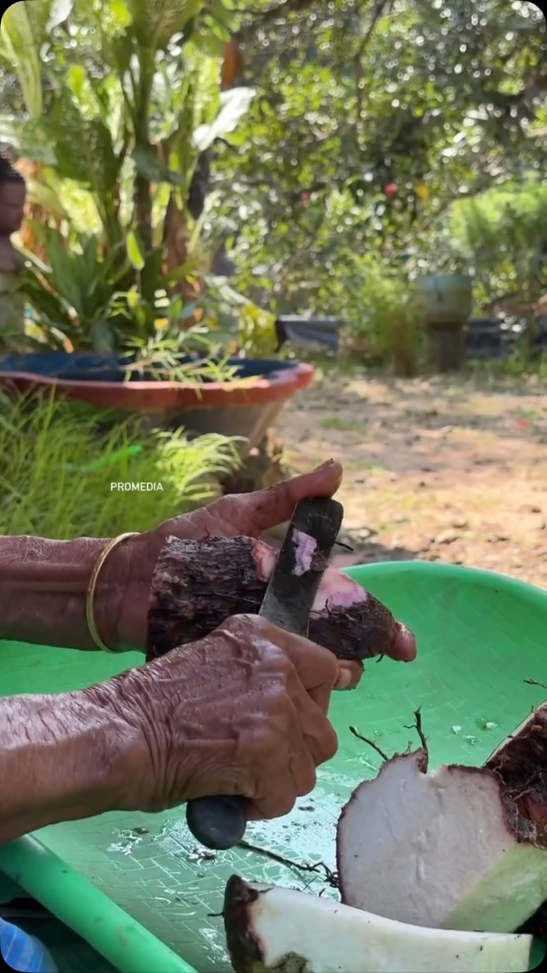 Post 6 by Nandu ProMedia on Instagram (video)