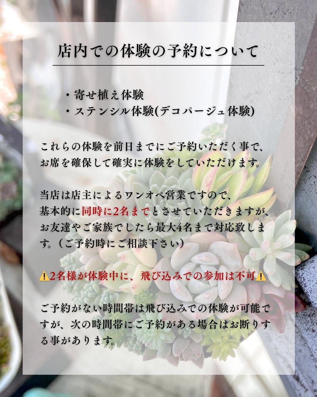 Post 9 by 多肉専科 イロニカル on Instagram (carousel)