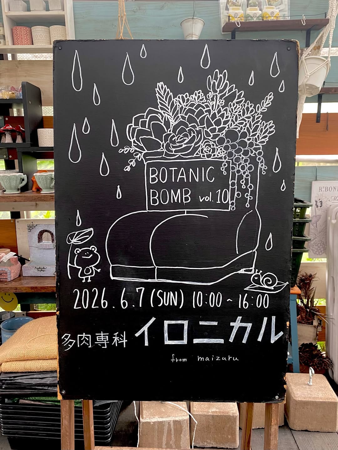 Post 6 by 多肉専科 イロニカル on Instagram (carousel)