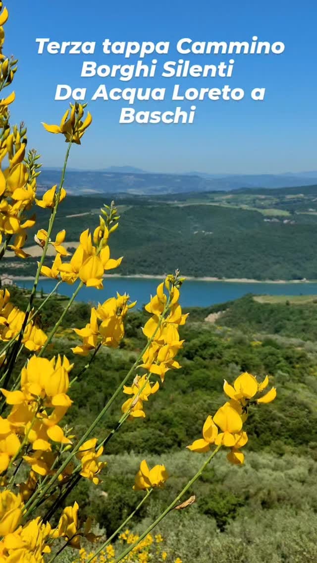 Post 8 by Mary Bona 💚Fotografia e videografia naturalistica on Instagram (video)
