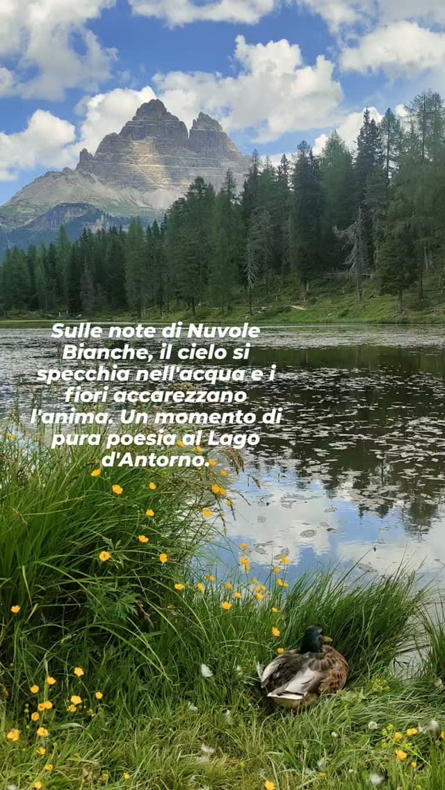 Post 1 by Mary Bona 💚Fotografia e videografia naturalistica on Instagram (video)