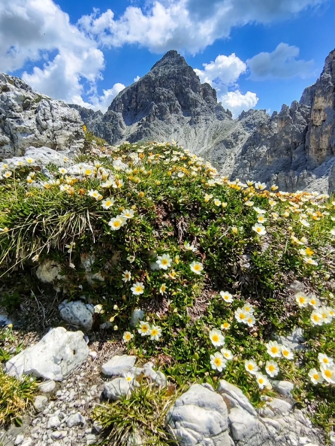 Post 3 by Mary Bona 💚Fotografia e videografia naturalistica on Instagram (carousel)