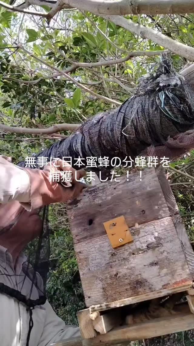 Post 4 by k-farm on Instagram (video)