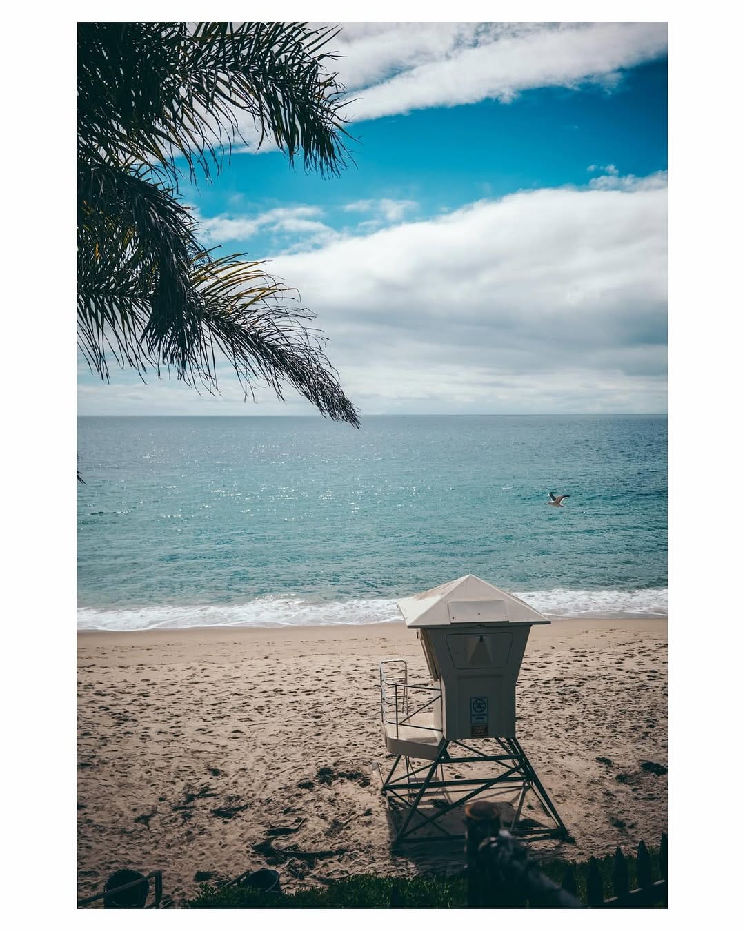 Post 6 by David Amar on Instagram (carousel)