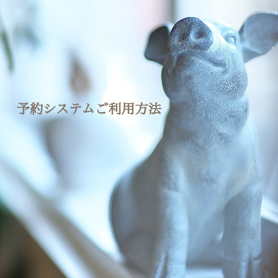 Post 10 by cafe de GAMOYON on Instagram (carousel)