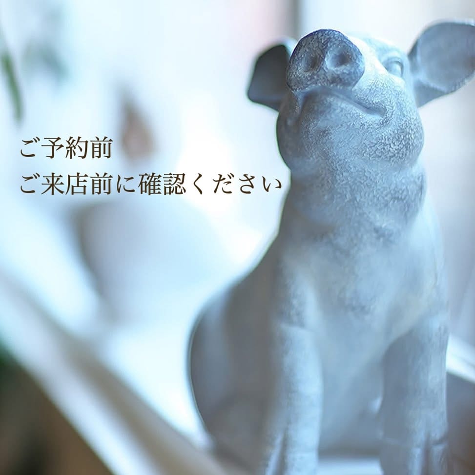 Post 8 by cafe de GAMOYON on Instagram (image)