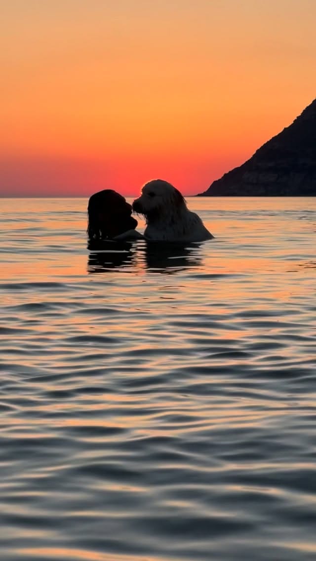 Post 2 by Marco Pistidda on Instagram (video)