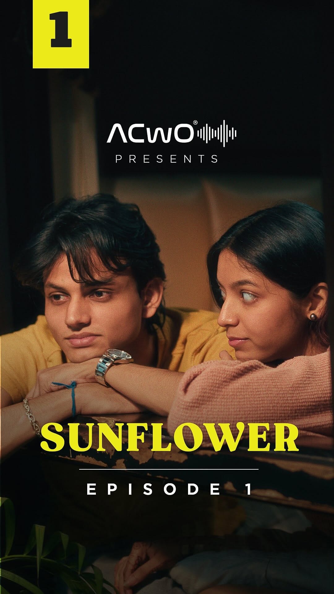Post 8 by SHUBHAM | Filmmaker on Instagram (video)