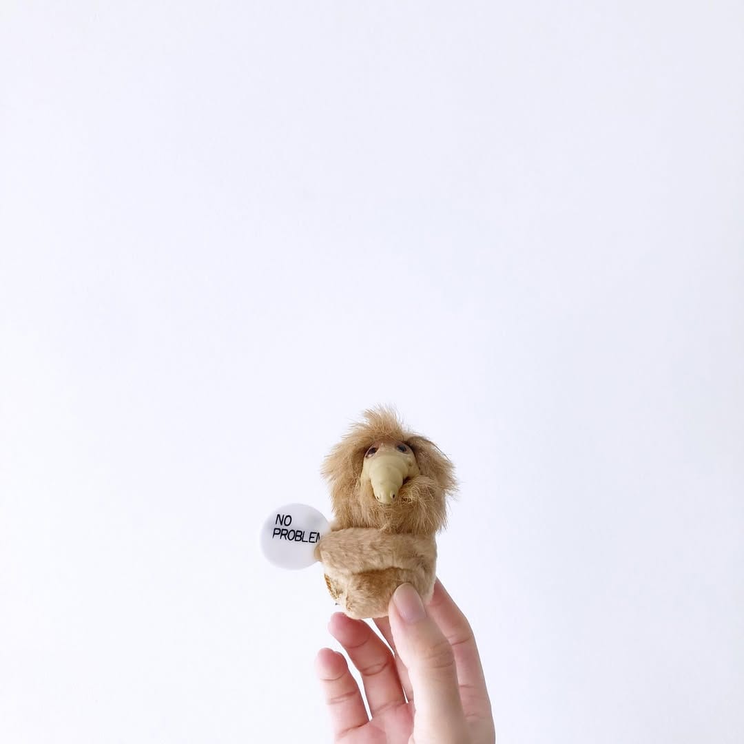 Post 3 by 高島商店 on Instagram (image)