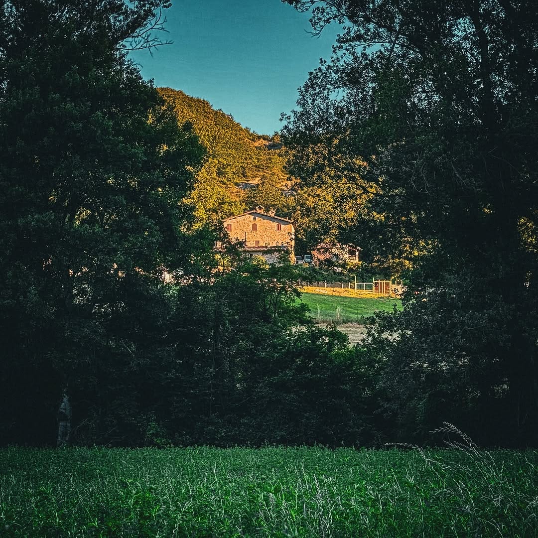 Post 4 by La Tavola Marche CookingSchool on Instagram (image)
