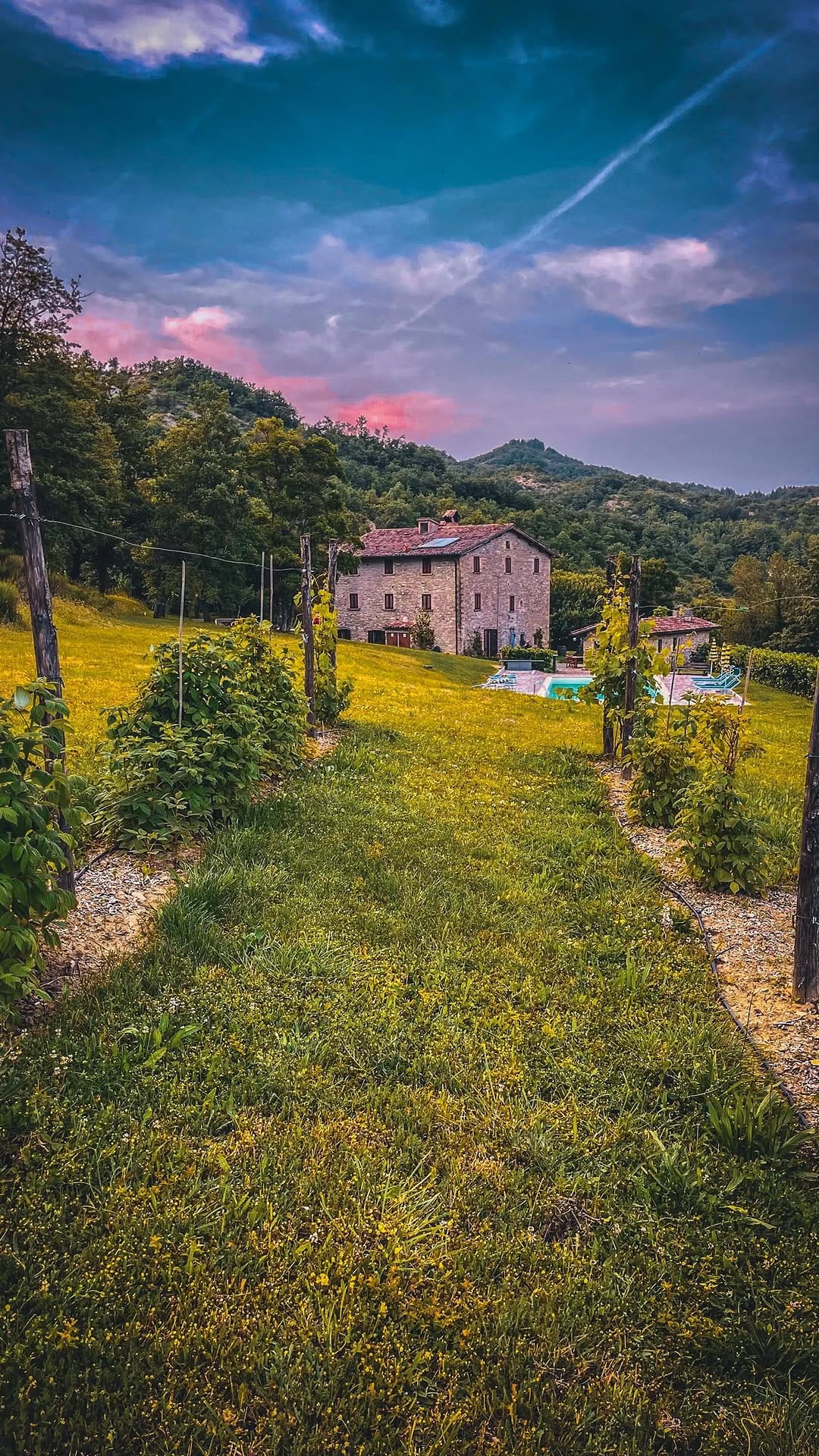 Post 8 by La Tavola Marche CookingSchool on Instagram (video)