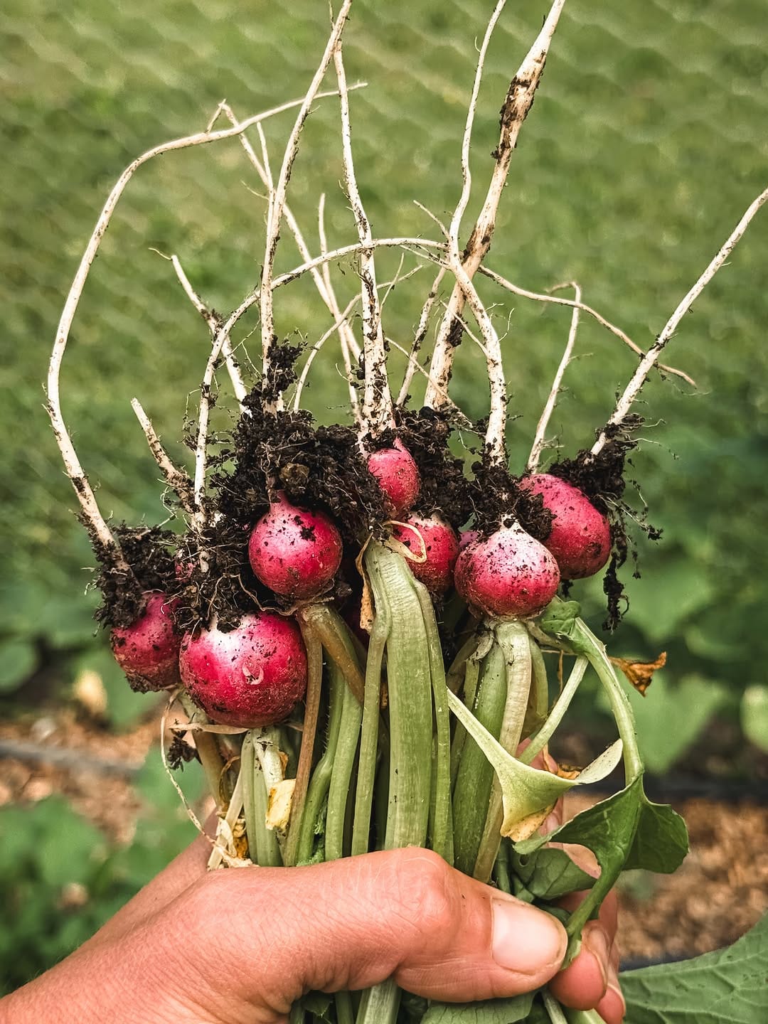 Post 3 by La Tavola Marche CookingSchool on Instagram (image)