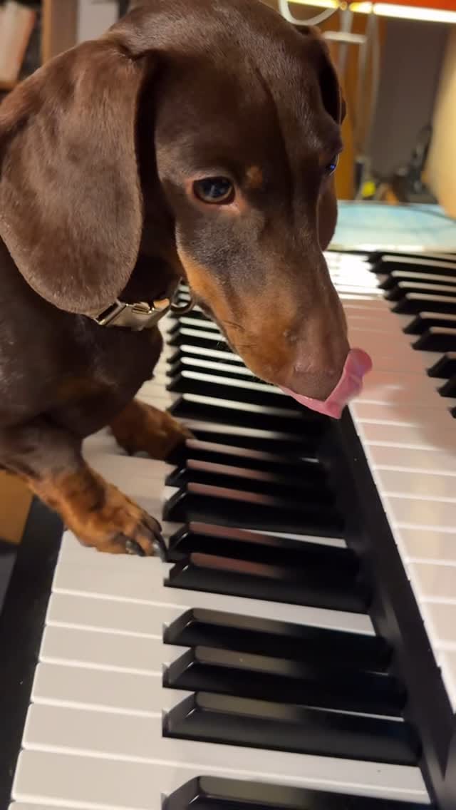 Post 6 by Amentia on Instagram (video)
