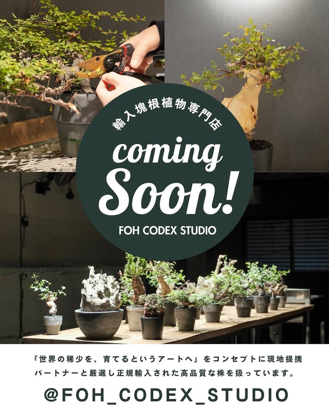 Post 2 by Yaei Workers (ヤエイ ワーカーズ)公式 on Instagram (image)