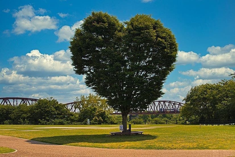 Post 1 by Japan of Insta on Instagram (image)