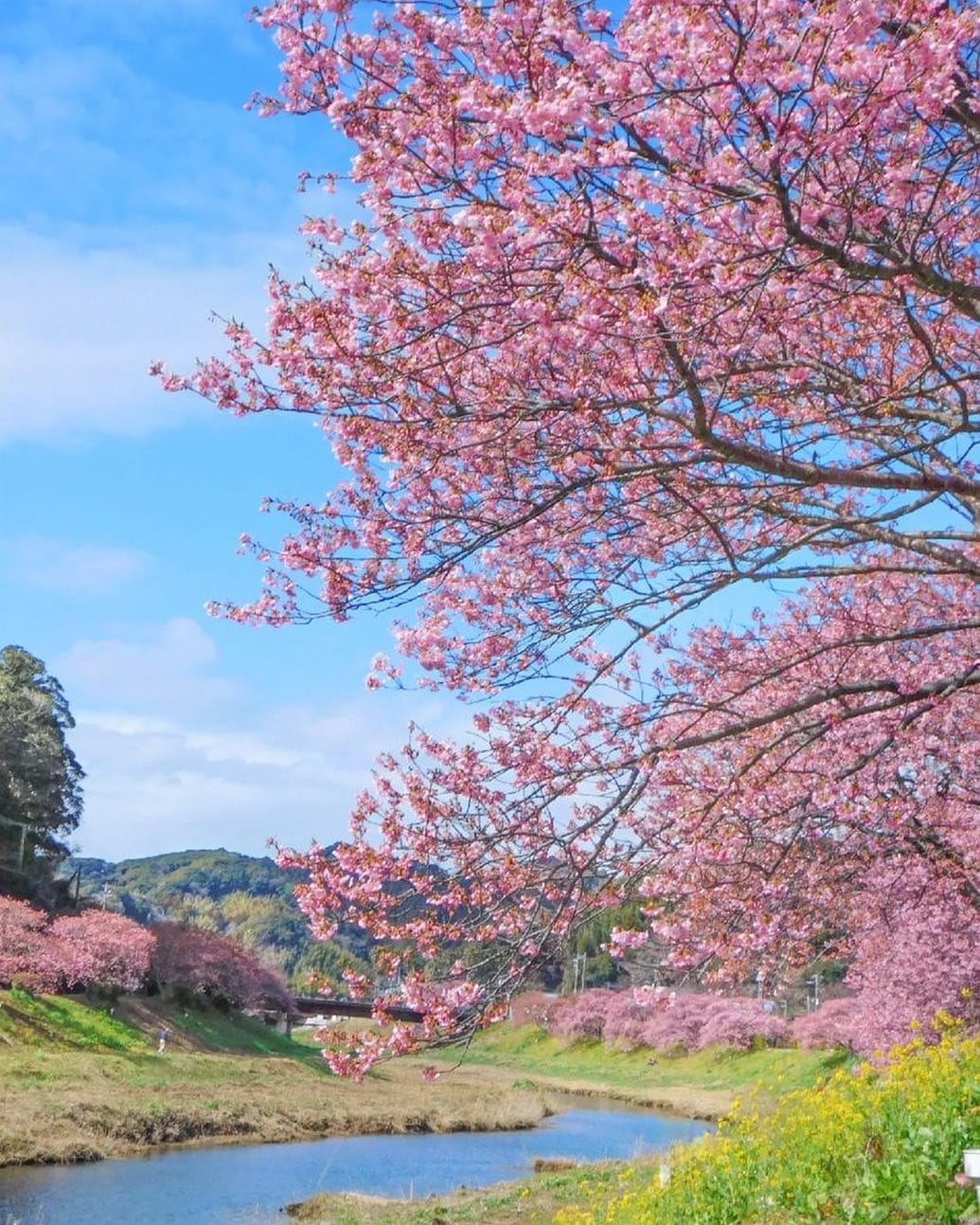 Post 5 by Japan of Insta on Instagram (image)
