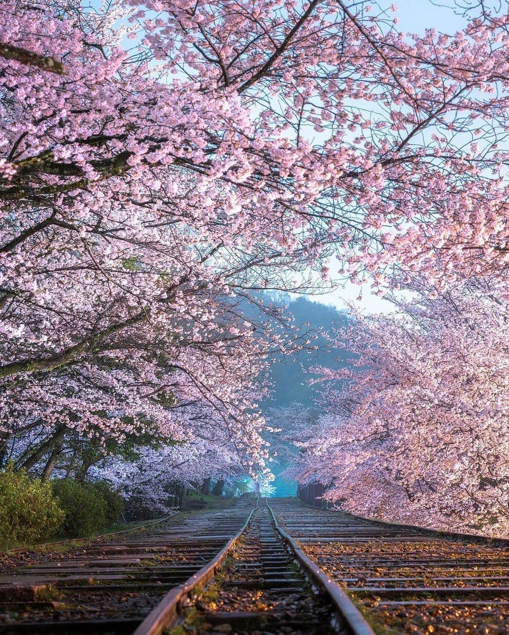 Post 3 by Japan of Insta on Instagram (image)