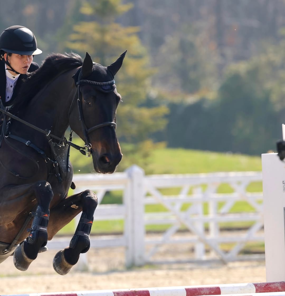 Post 9 by Sophie🦎 on Instagram (carousel)